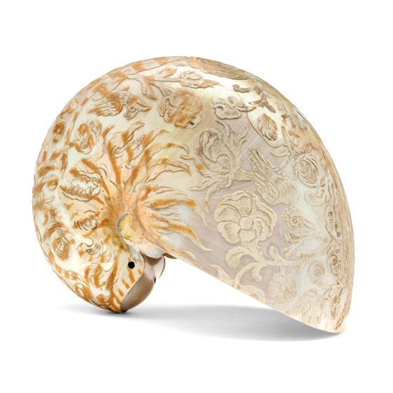Renaissance Nautilus Shell